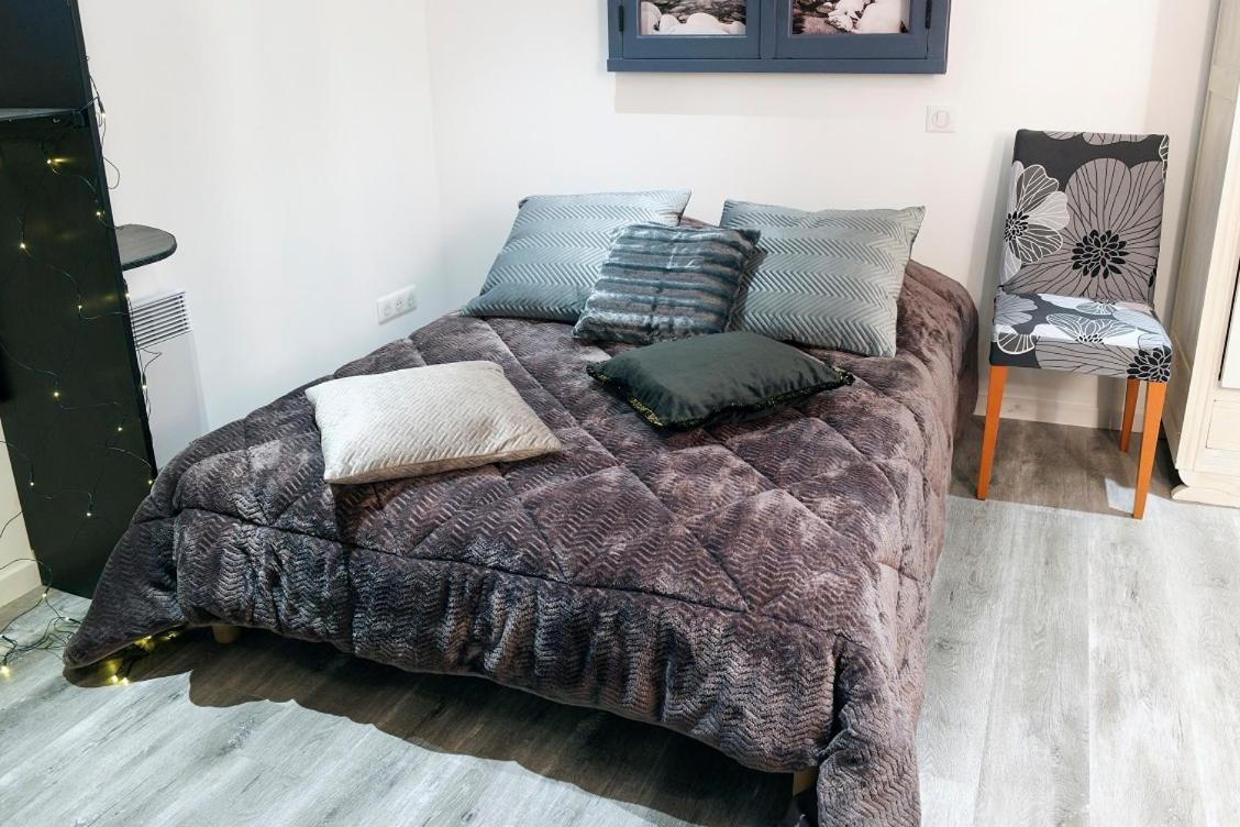 Pamiers Gare - 2 Appartements A Louer Ou Chambre Parentale Independante 외부 사진